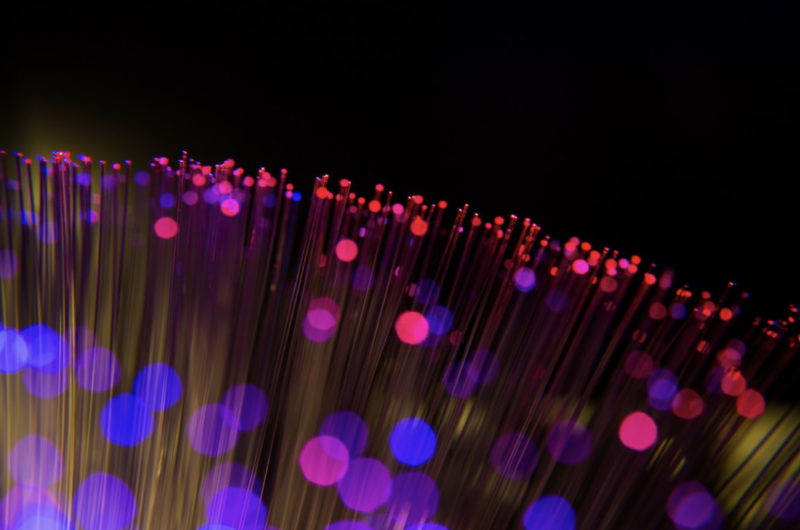 Red and purple fibre optic cable strands